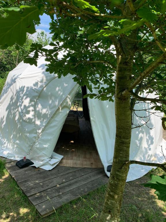 Dorothy Goes Glamping in South Barrow